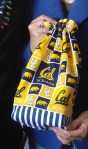 The CAL bag