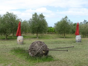 Napier, Hawkes Bay, NZ 2010